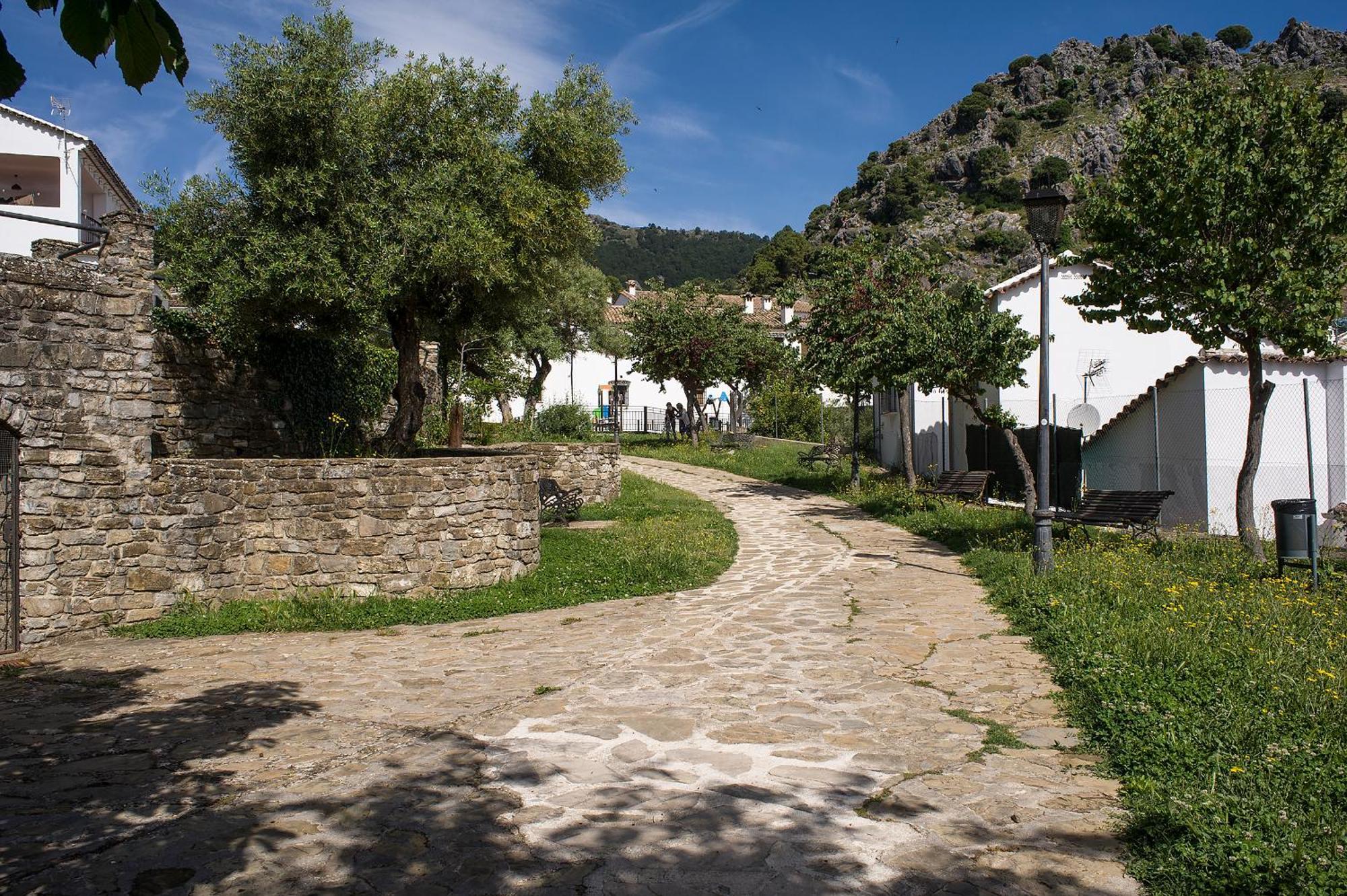 Casa Rural La Callejita Grazalema Esterno foto